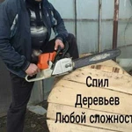 Спил деревьев