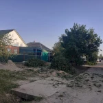 Фото №4 Спил деревьев