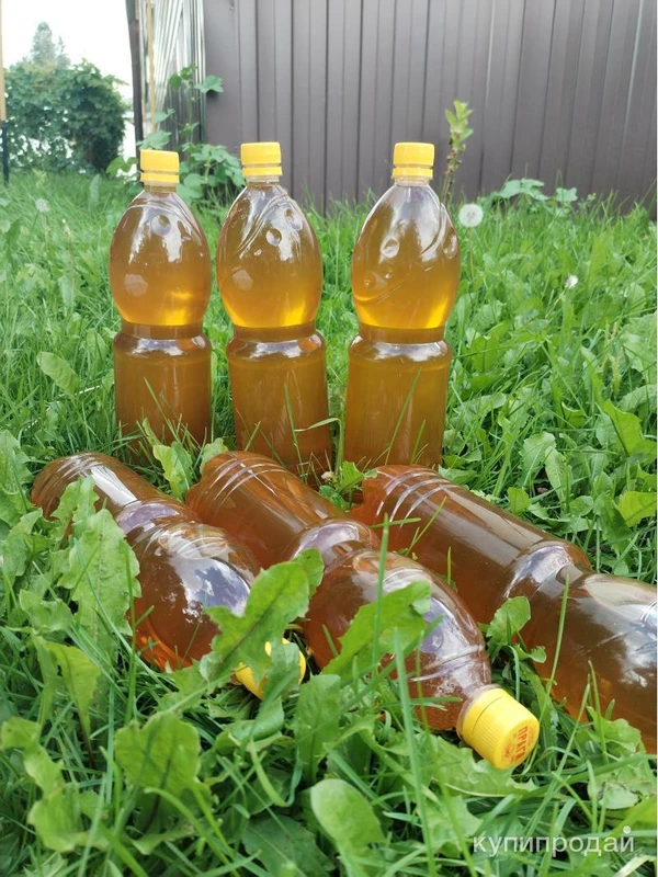 Фото Продам горный мед