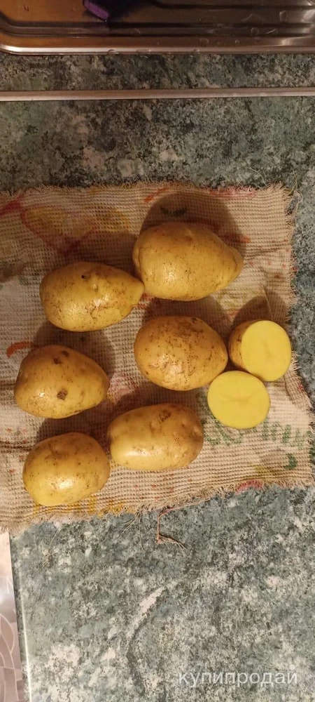 Фото Картофель оптом