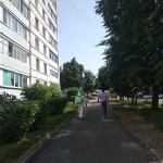 Фото №8 Уничтожение насекомых, грызунов, вирусов.