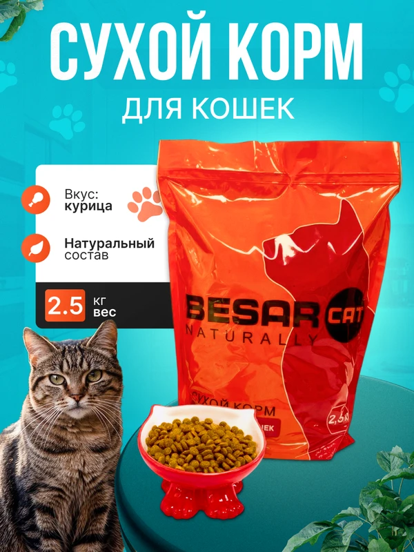 Фото Сухой корм для взрослых кошек Besar