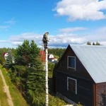 Фото №4 Спилить Удалить Срубить дерево в городе Жуков