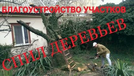 Фото Благоустройство/Спил деревьев
