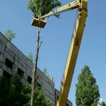 Спилить(спил) удалить дерево в Великом Новгороде