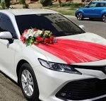 Фото №29 Свадебные авто,лимузины,микроавтобусы 