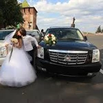 Фото №2 Авто на свадьбу новый крузак и кадил эскалейд