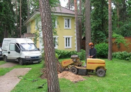 Фото Дробление пней в Павловском Посаде.