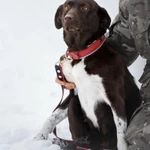 Фото №7 Красавица Токио. Если у девочки шанс?