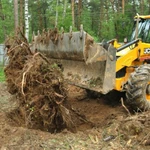 Фото №7 Дренаж участка, спил деревьев 