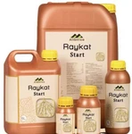 фото Райкат Сарт Raykat Start