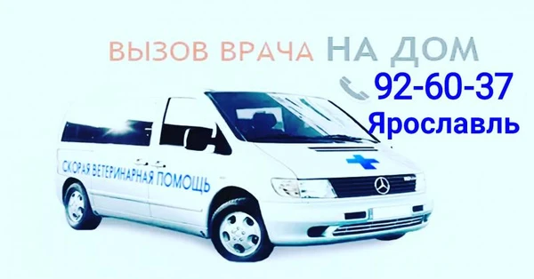 Фото Полный комплекс ветуслуг для ваших питомцев круглосуточно