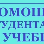 Студентам : помощь и консультации