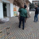 Фото №2 Услуги грузчиков недорого
