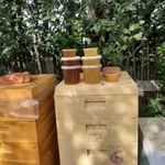 фото Мёд из Удмуртии