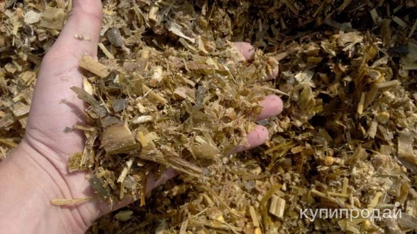 Фото Продаем силос кукурузный,сенаж