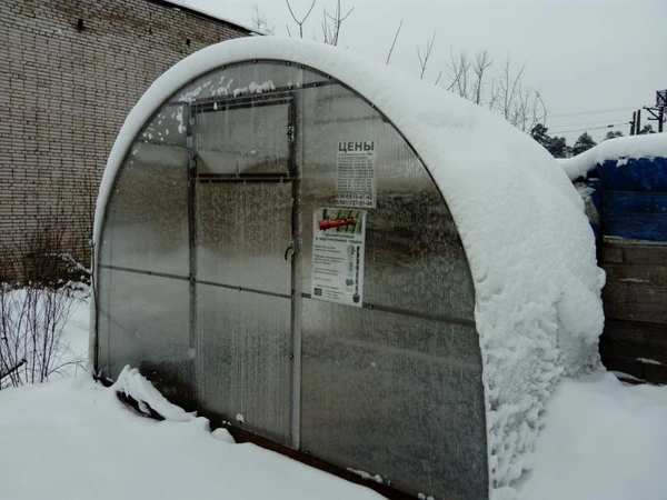 Фото Теплицы в Луге усиленные