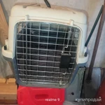 Фото №2 Контейнер для перевозки животных