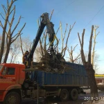 Фото №2 Ломовоз с грейферным захватом