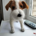 Фото №4 Джек Рассел