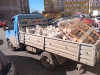 Фото Вывоз мусора в мешках старой мебели и прочего хлама