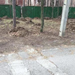 Фото №3 Благоустройство участков