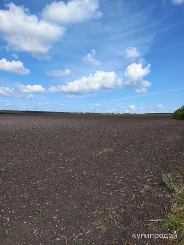 Земельный участок сельхозназначения 2700 Га