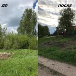 Фото №3 Покос травы и бурьяна, спил, опиловка деревьев