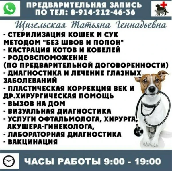 Фото Ветеринарный врач