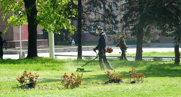 Фото Опил деревьев, покос травы триммером в Липецке.