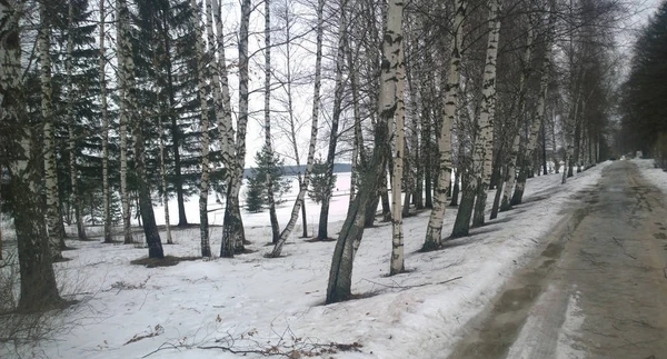 Фото Пансионат "Бестужево"