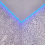 Фото №4 Натяжные потолки Silver Stroy