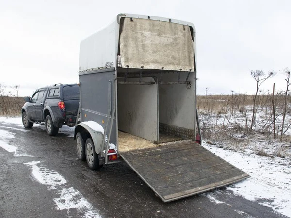 Фото Услуги коневоза по Москве и области