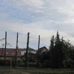 Фото №3 Удаление деревьев, дробление пней, измельчение веток