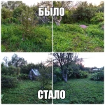 Фото №8 Покос травы, камыш, бурьян. Триммером. Альметьевск 