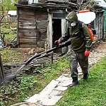 Фото №3 Обработка территории участков от клещей, комаров