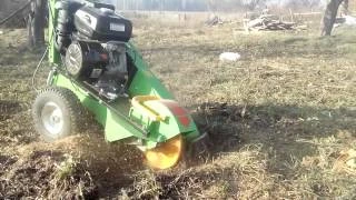 Фото Удаление, дробление пней. Пнедробилка в Мытищах.