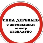 Спил деревьев с автовышки