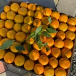 Фото №12 Мандарины из Абхазии урожай 2024