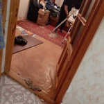 Фото №2 Вывоз мусора недорого