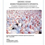 Разработка бизнес-планов для сельскохозяйственных проектов