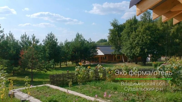 Фото Профессиональная видео/аэросъёмка