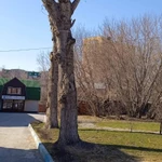 Снос и обрезка деревьев.