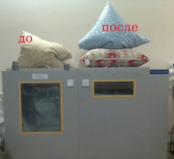 Фото Сухая чистка подушек