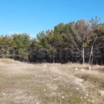 Фото №2 Лот  73901 Продается большой ровный участок 10 соток ИЖС на ул.