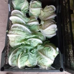 фото цветная капуста