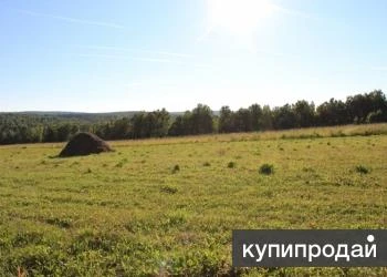 Фото ⭕ЗЕМЛЯ 32,1га. ЛЕС, БОЛЬШОЙ РУЧЕЙ.