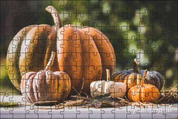 Фото продам тыкву