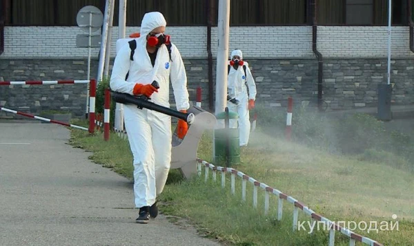 Фото Заказать обработку от клещей комаров на даче Таруса