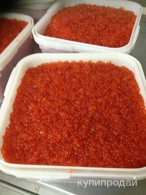 Фото Продам икру лососёвую